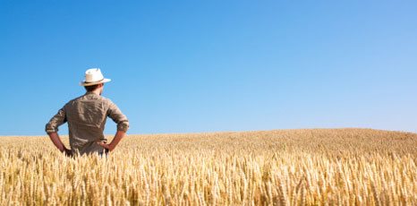 PAGAMENTI DIRETTI AGLI AGRICOLTORI 