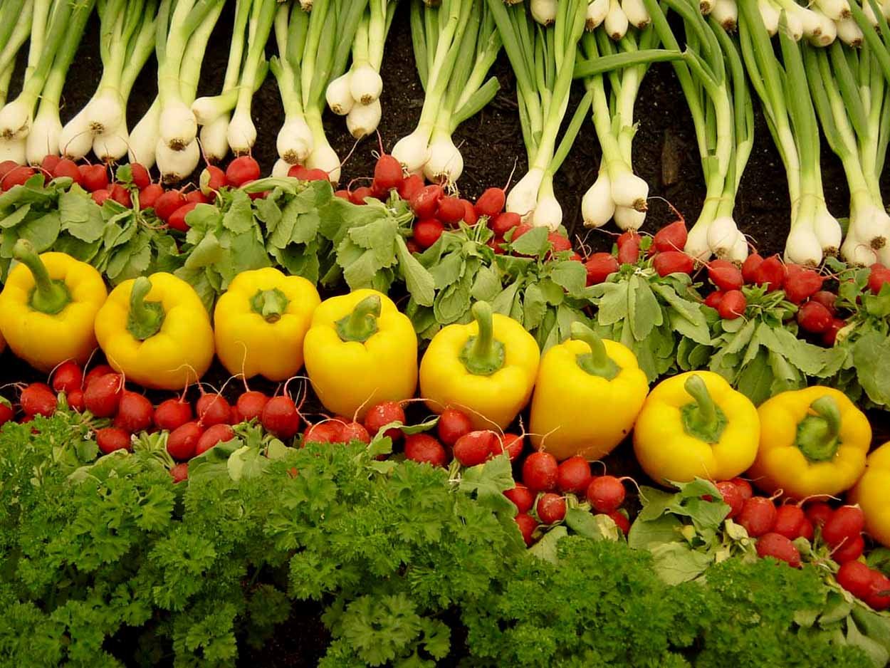 SI’ DELLA CAMERA AL DISEGNO DI LEGGE: “DISPOSIZIONI PER LA TUTELA E LA VALORIZZAZIONE DELLA BIODIVERSITA’ AGRARIA ED ALIMENTARE”