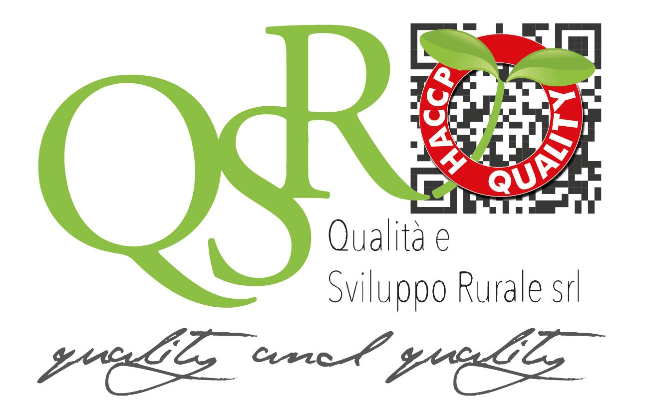 IL PROGETTO DI RICERCA E SVILUPPO PER L'ANNO 2015 DI QSR