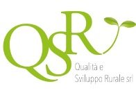 LOGO QSR _OK.jpeg