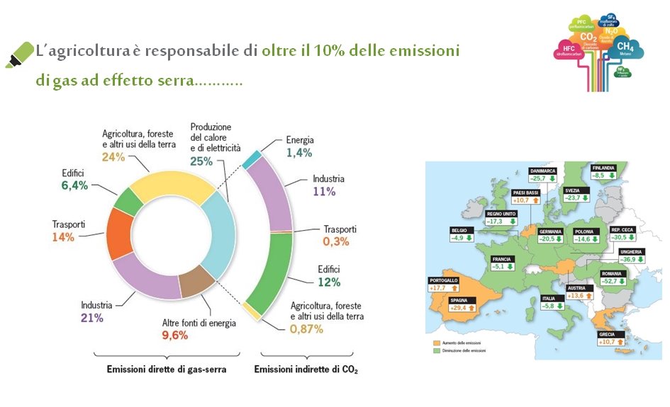 MANGIARE SOSTENIBILE - INFORMAZIONE E FORMAZIONE