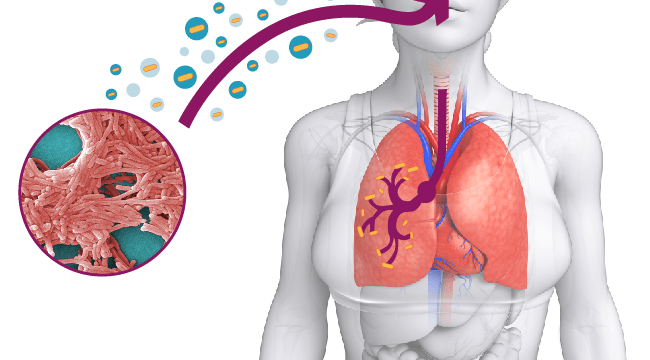 LEGIONELLA: INDAGINI IN TRENTINO E NUOVE LINEE GUIDA DELLA REGIONE PIEMONTE 