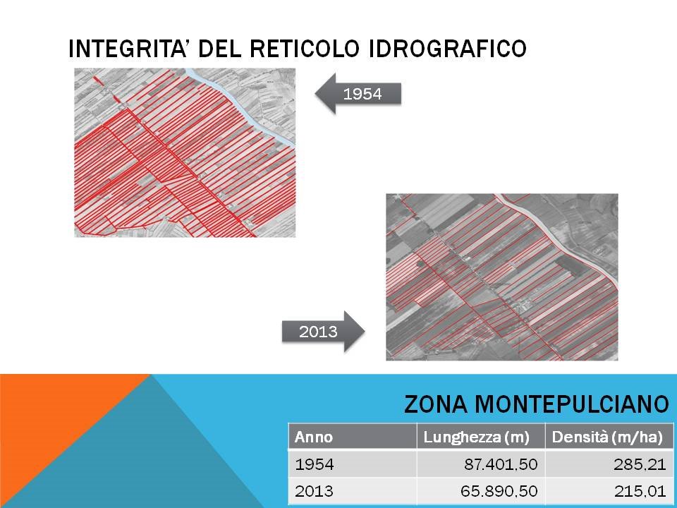 VALDICHIANA: PAESAGGIO STORICO DELLA BONIFICA LEOPOLDINA 